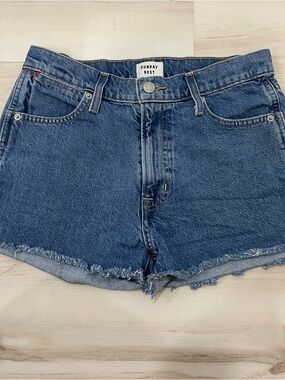 Aritzia Sunday Best Dark Blue Denim Frayed Hem Shorts